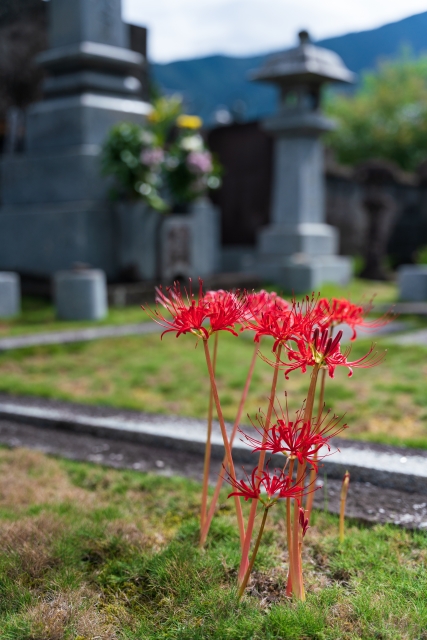 ピースマインド・クリーン　お墓参りの代行・同行