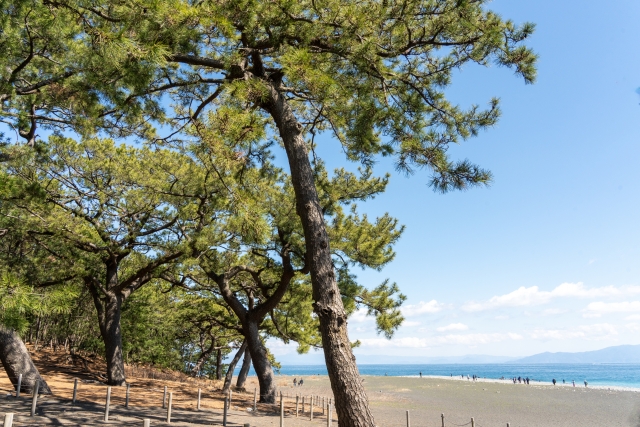 ピースマインド・クリーン　お墓参りの代行・同行