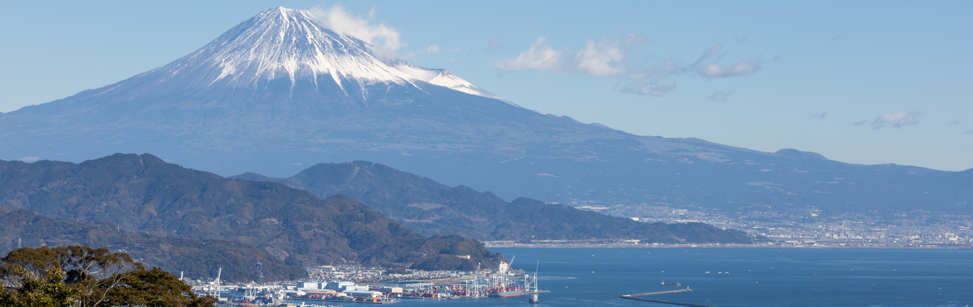 ピースマインド・クリーン　お墓参り　代行・同行